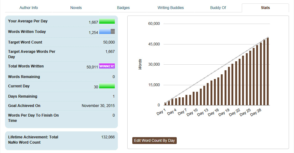 NaNoWriMo – Catching up with you’re Behind