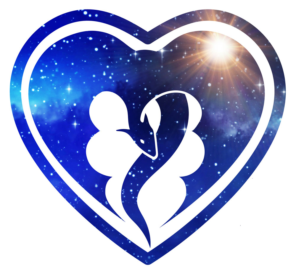 rinelle-grey-galaxy-logo